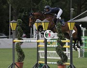 Lippi Bruni Caesar CsioArJYR SS7 8451 : CSIO Giovani Arezzo, Caesar, Lippi Bruni Rebecca, foto Stefano Secchi ©